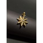 Zirkon Taşlı Kutup Yıldızı Çelik Kolye | Paslanmaz, Kararmaz, Rehberlik ve Şans Sembolü